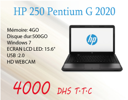 HP 250 Pentium G2020